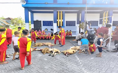 Semangat Berbagi dan Kebersamaan, MIM 12 Sumuragung Laksanakan Penyembelihan 12 Hewan Kurban